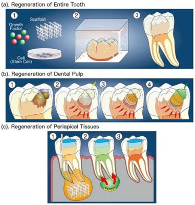  Dentin: Revolutionerande Biomaterial för Tandåterställning och Benregenerering!