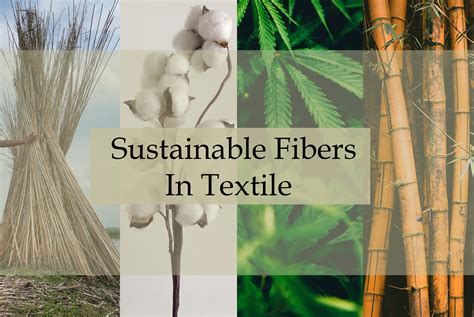  Zebra Fiber: Exploring Its Applications in Sustainable Textile Innovations!